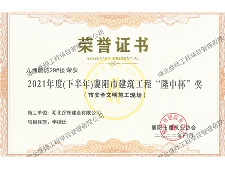 九州龍城29#楼“隆中杯”奖（市安全文明施工现场）