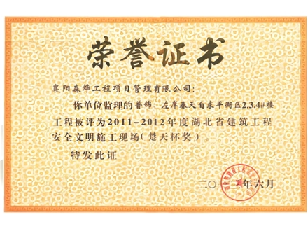 左岸春天自求潘平衡区2.3.4#楼工程 楚天杯奖 安全文明施工现场