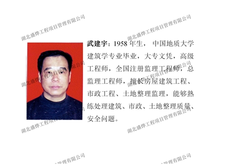 领军人物： 武建宇