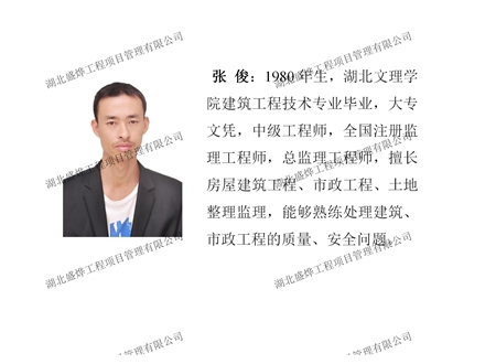 领军人物：张俊