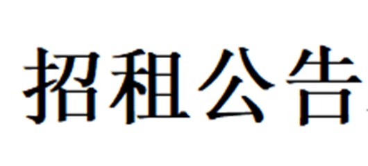 宜城市原安能热电公司办公楼招租公告